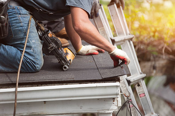 Best Metal Roofing Contractor  in North Port, FL
